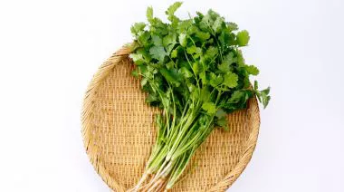 garnishing-instructions-image